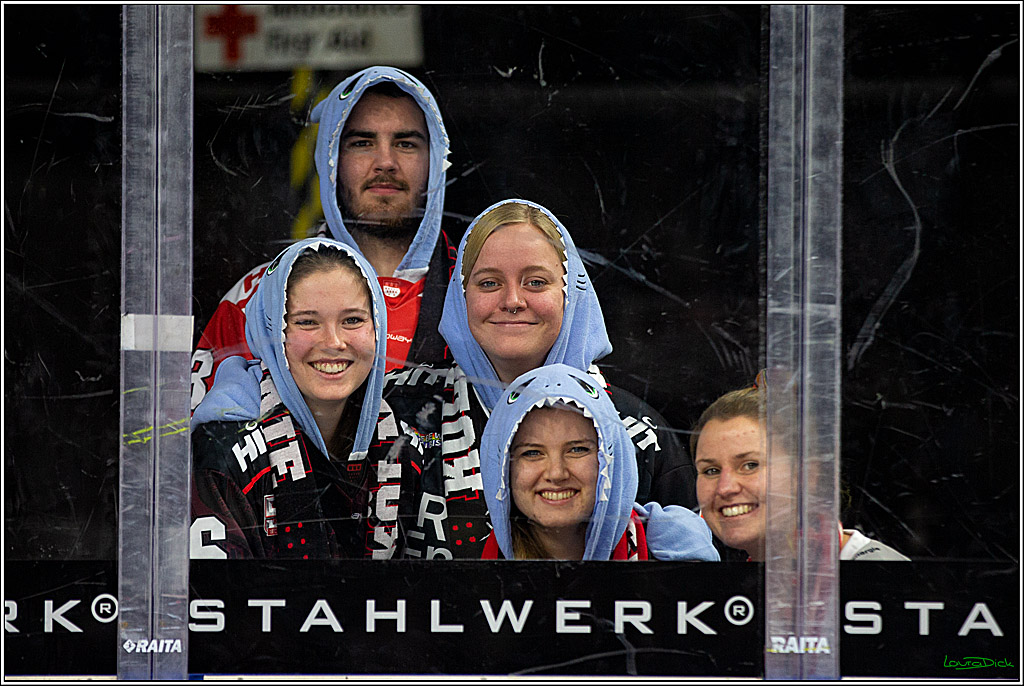 PENNY DEL; Koelner Haie- Bietigheim Steelers; Koeln, 22.01.2023